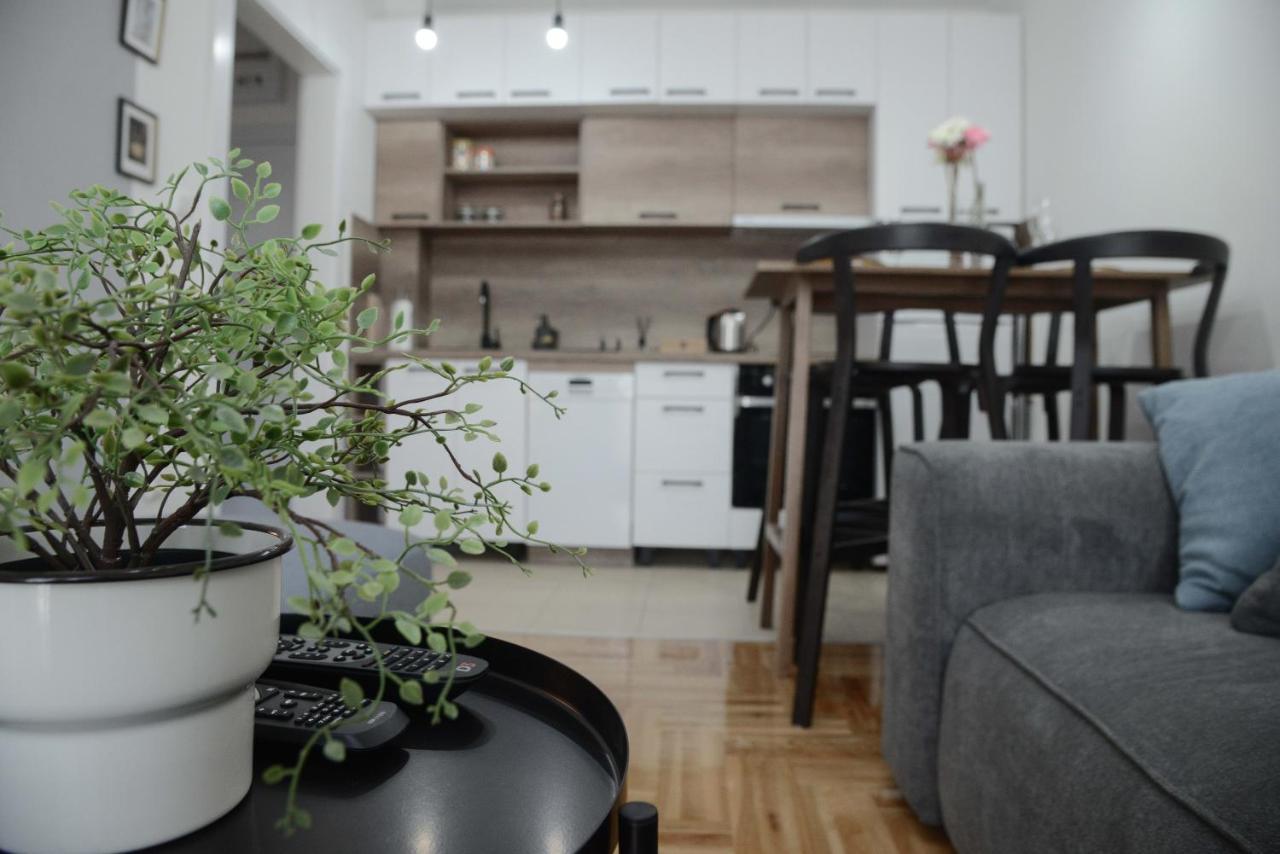 Apartment DobraYa Grey Novi Sad Exteriér fotografie